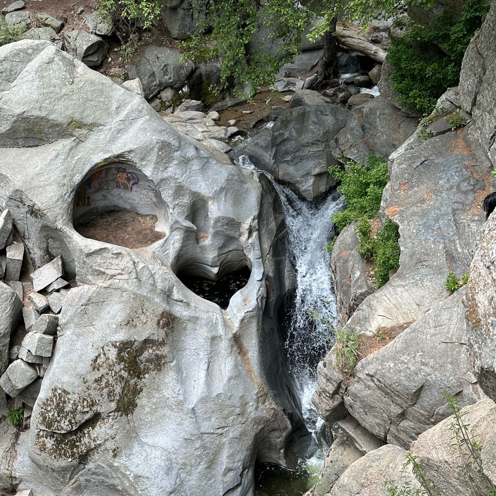 Meet your Posher, Elaine